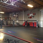 SinCity CrossFit (3)